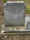 image of grave number 269370